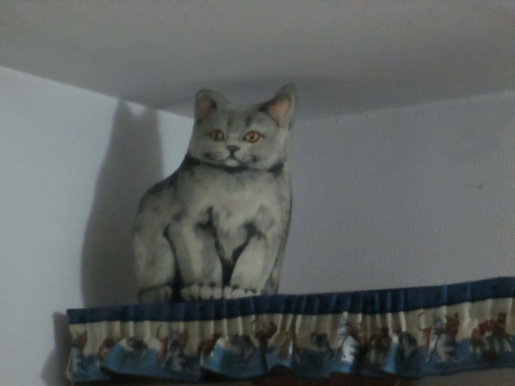 Cat'S House Apartment ลิโด ดิ ออสเตีย ห้อง รูปภาพ