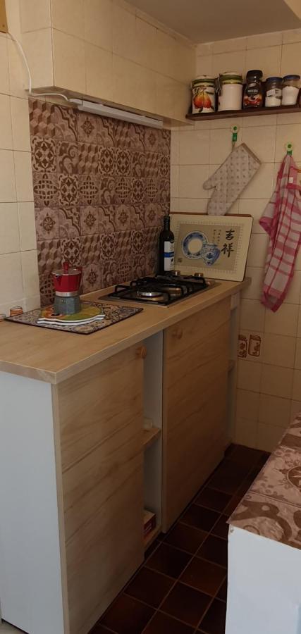Cat'S House Apartment ลิโด ดิ ออสเตีย ภายนอก รูปภาพ